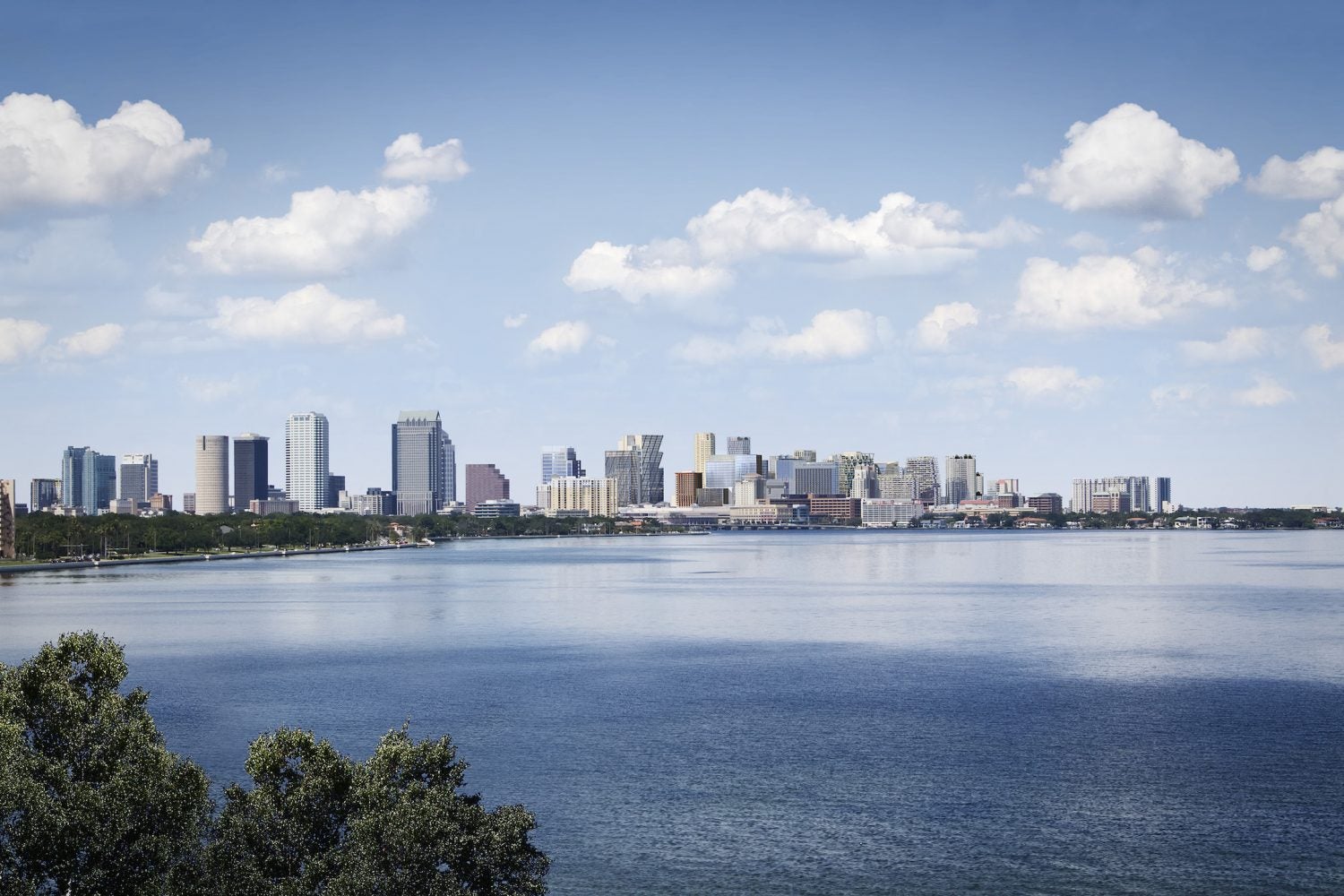 Have You Seen What’s Going on in Tampa?